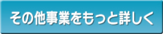 その他の事業をもっと詳しく